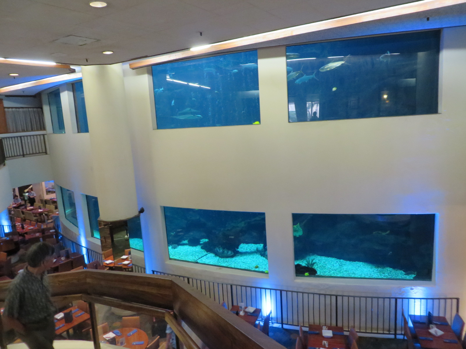 20150927035544.JPG image