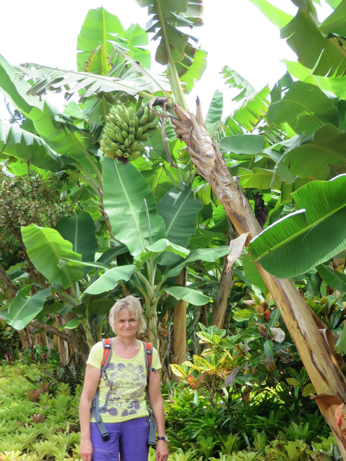 20150929010358.JPG image