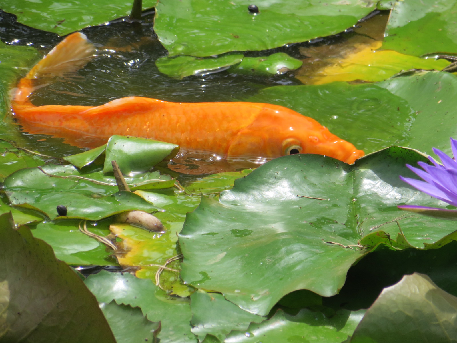 20150929011147.JPG image