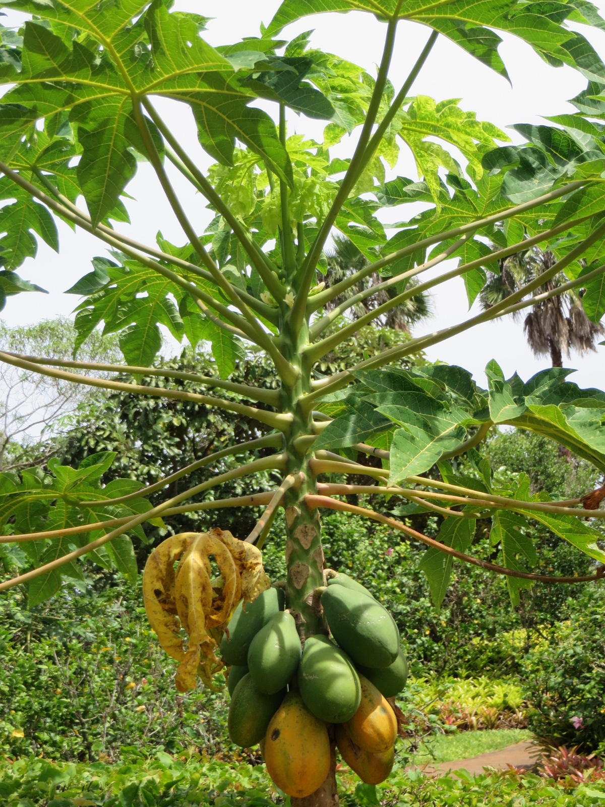 20150929011408.JPG image