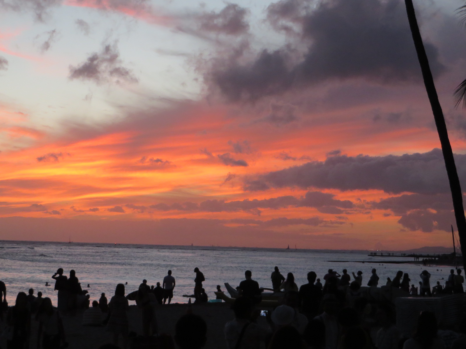 20150926063843.JPG image