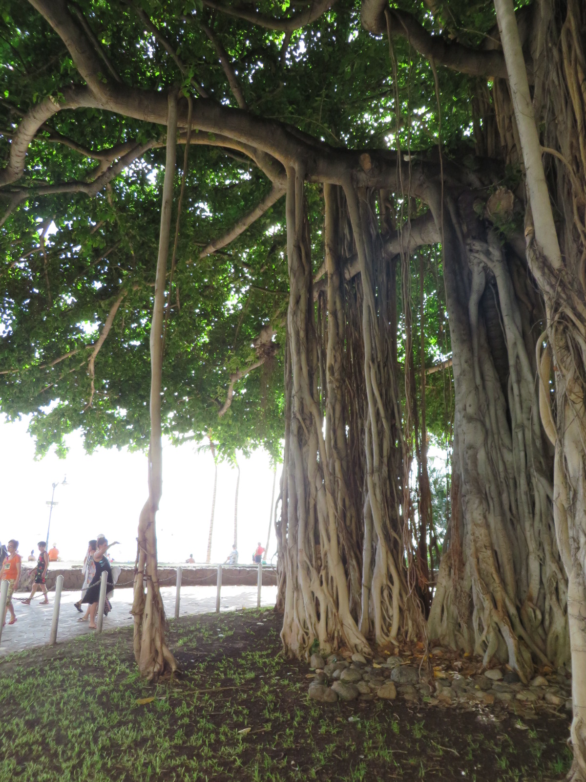 20150927034809.JPG image