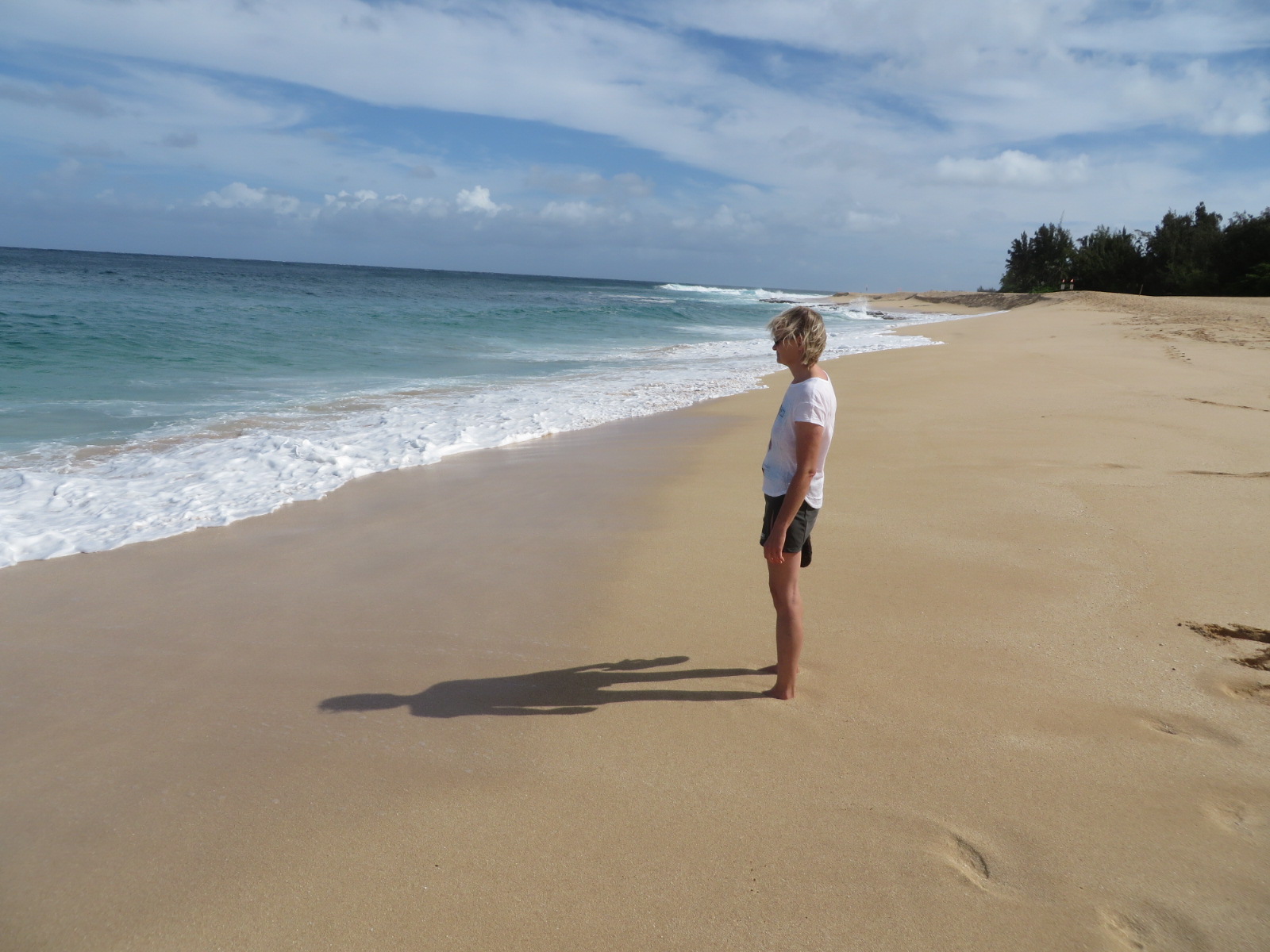 20150929214315.JPG image