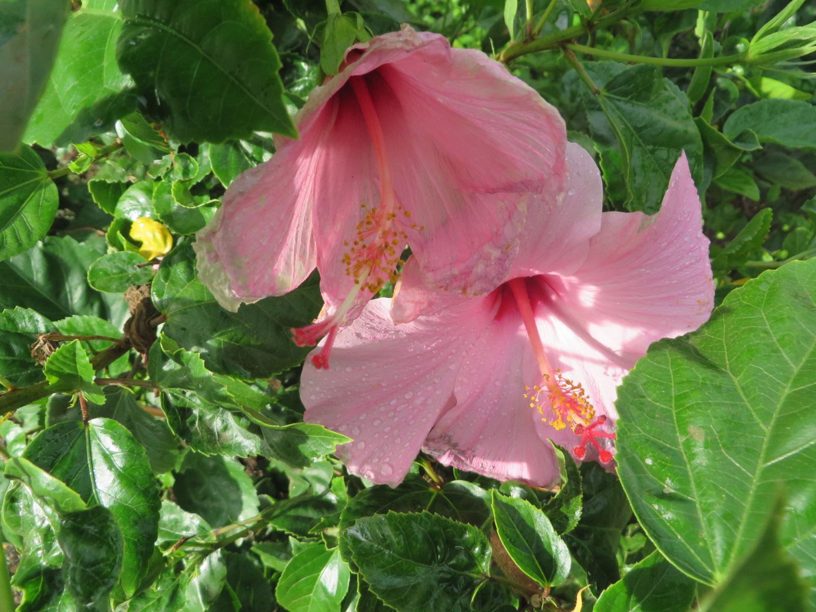 20151001045510.JPG image