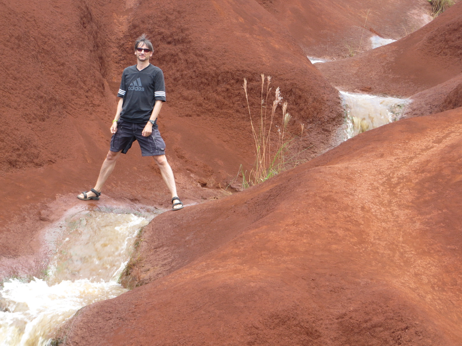 20151003231239.JPG image