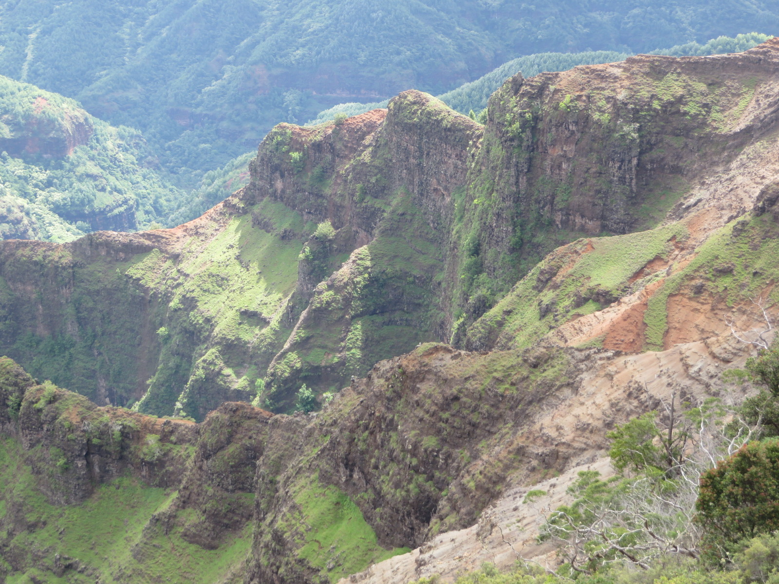 20151003233856.JPG image