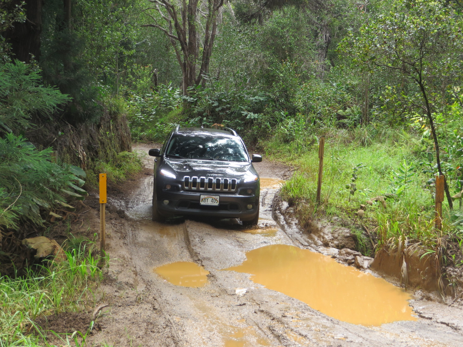 20151004010553.JPG image