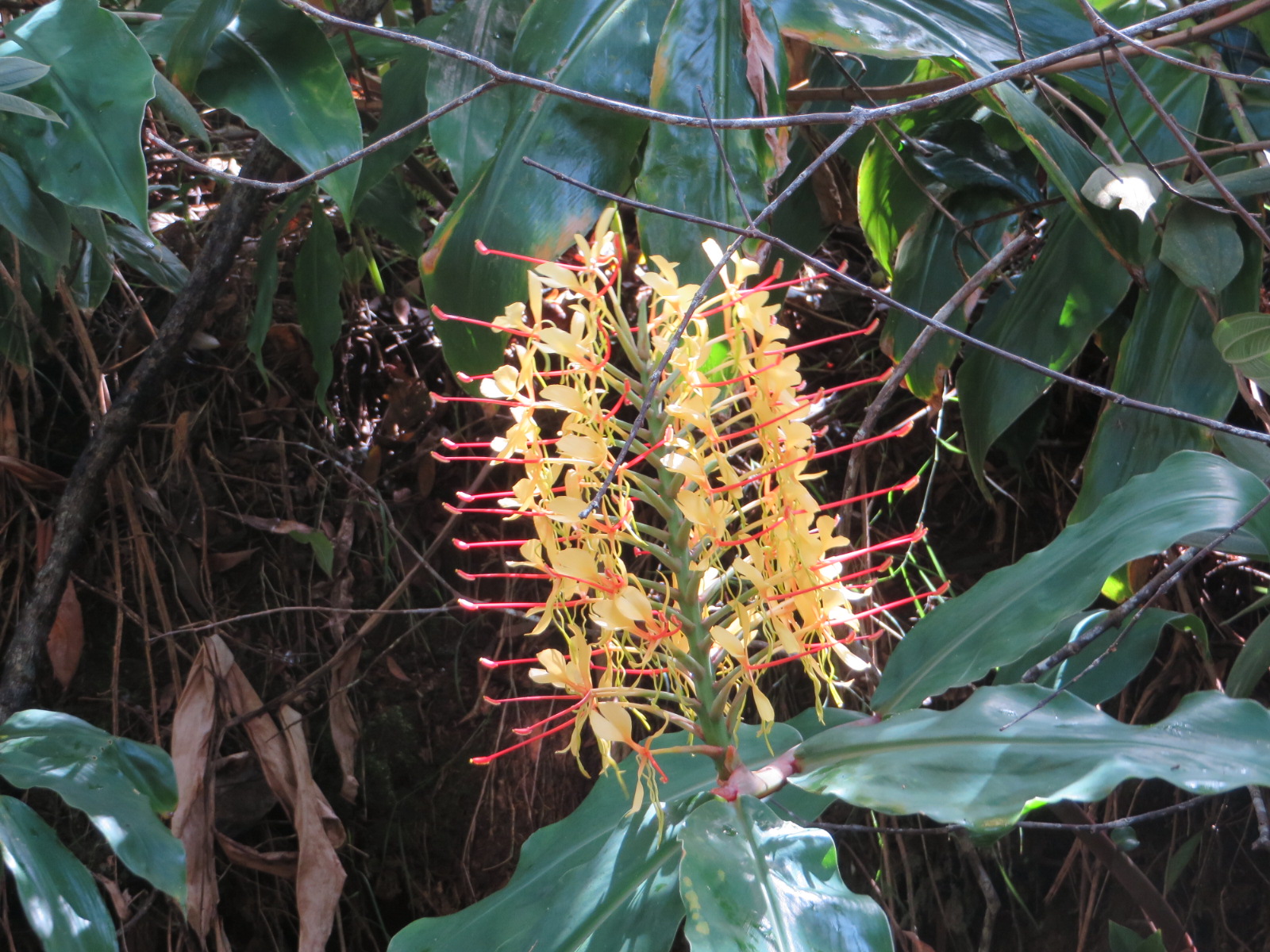 20151004011341.JPG image