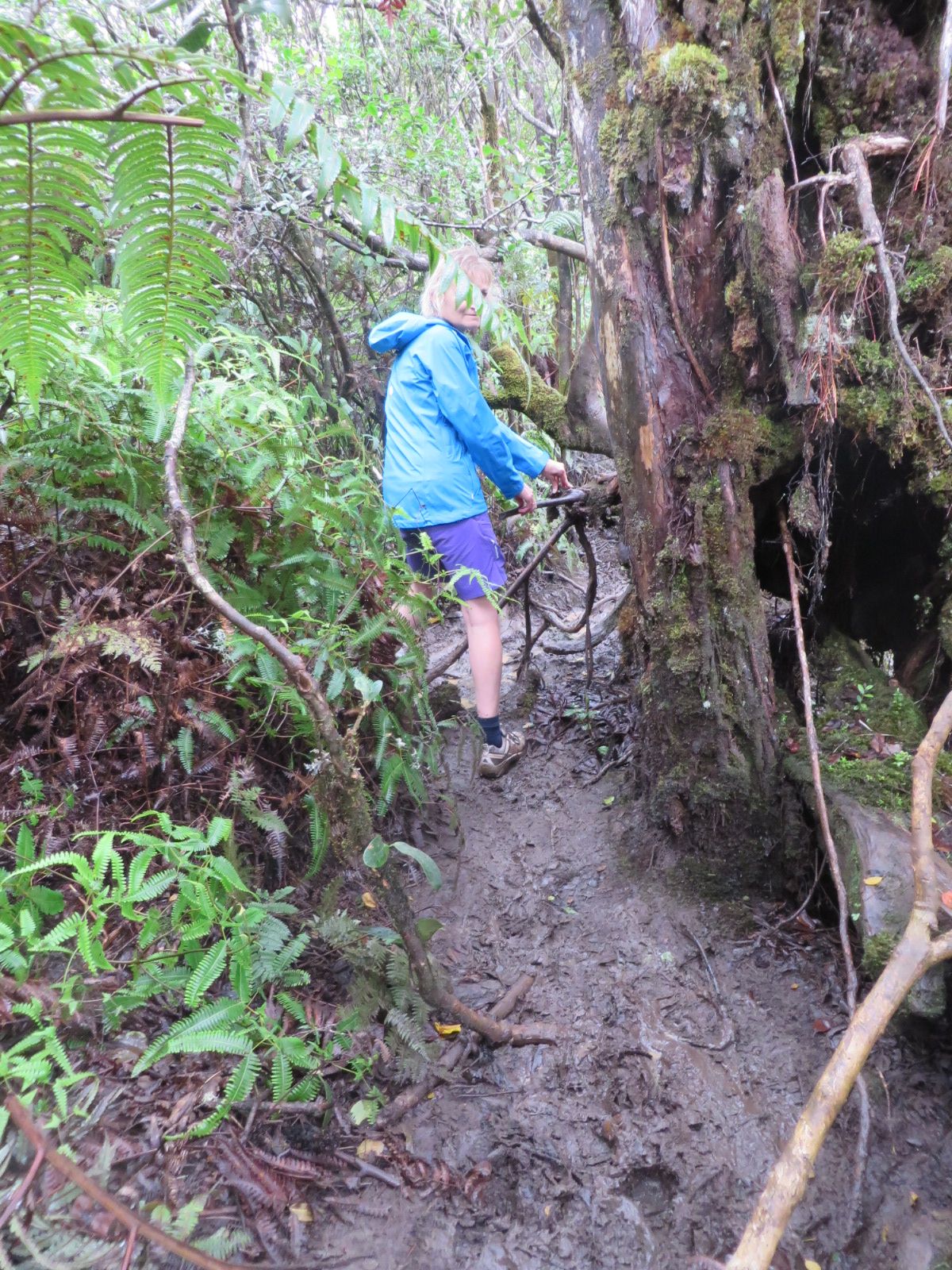 20151004023316.JPG image