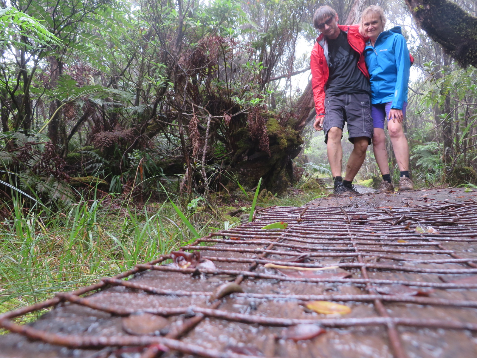 20151004030658.JPG image