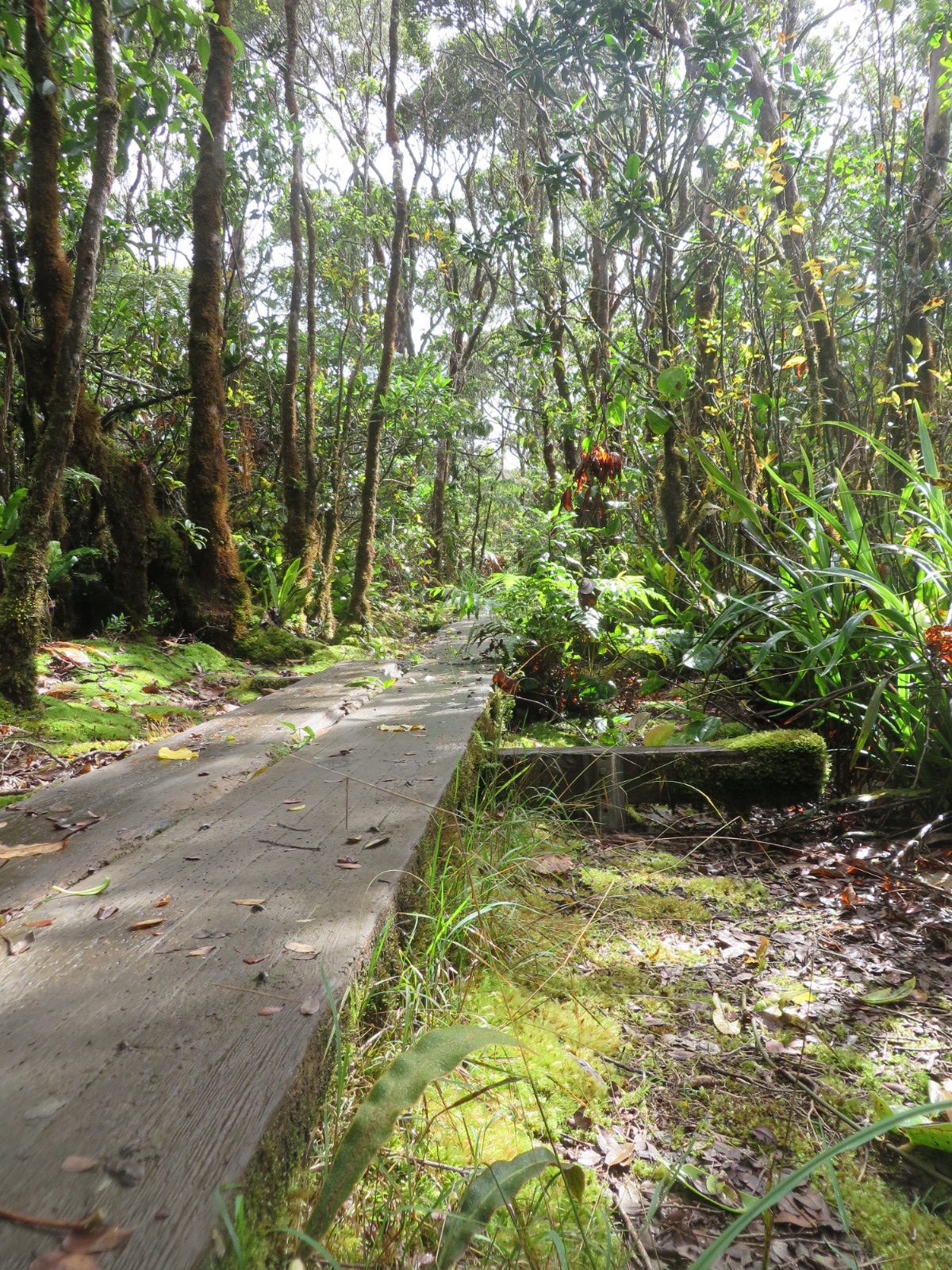 20151004031249.JPG image