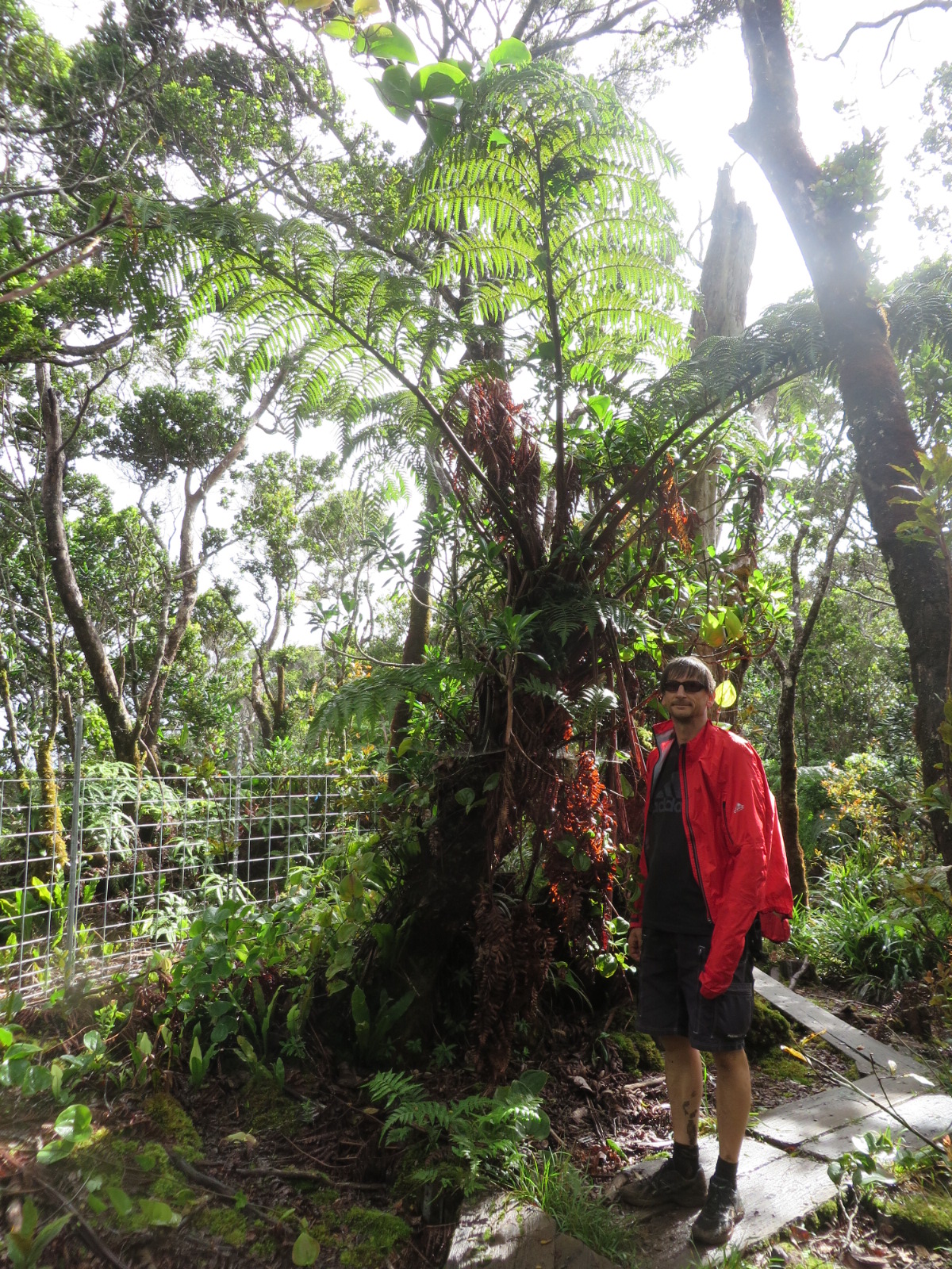 20151004031327.JPG image