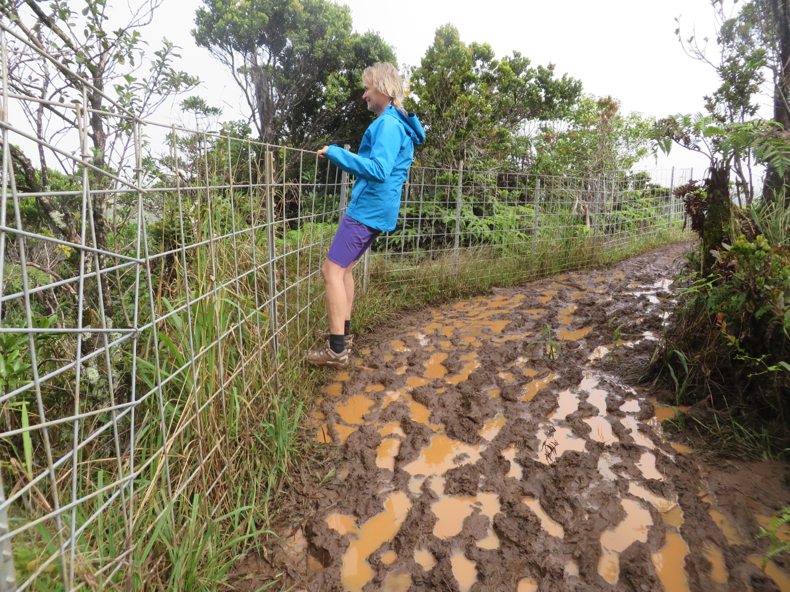 20151004033053.JPG image