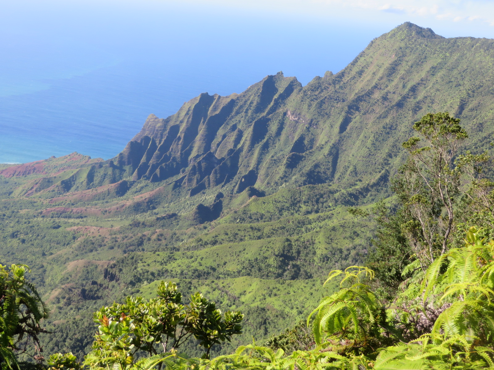 20151004041727.JPG image