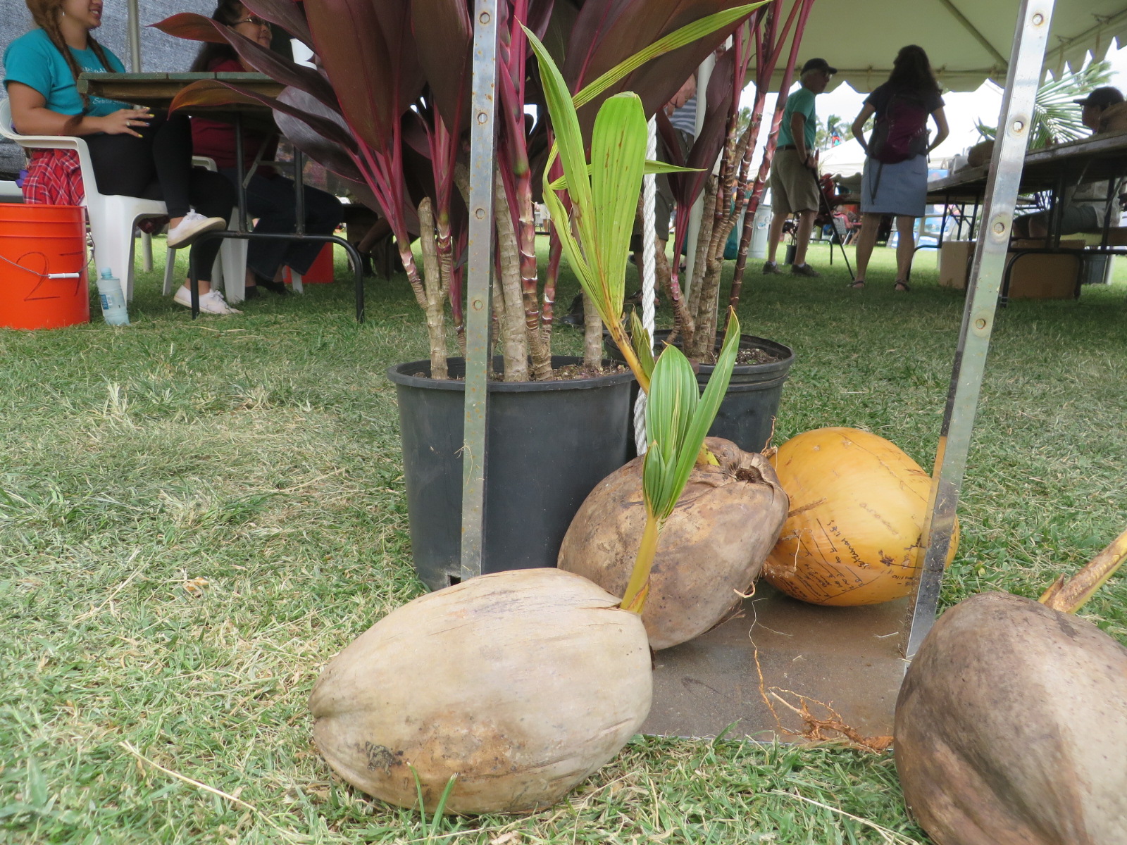 20151005021238.JPG image