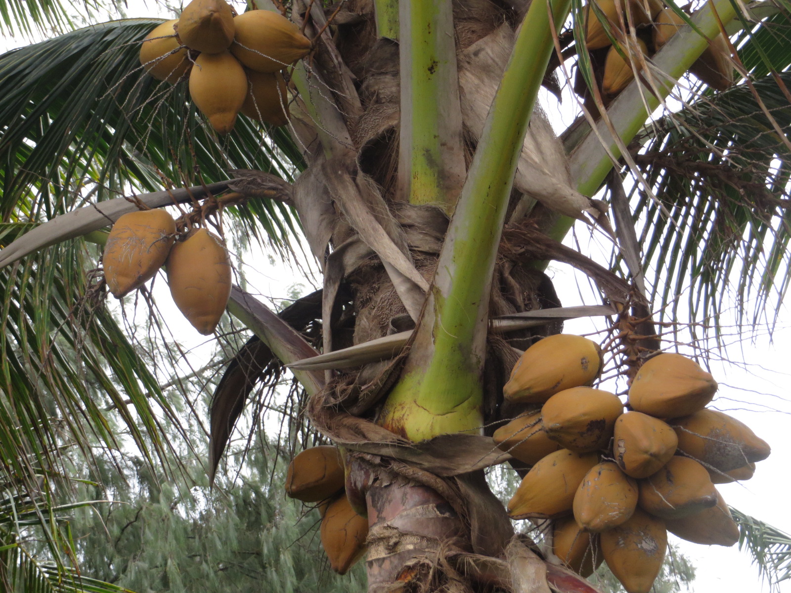 20151005021441.JPG image