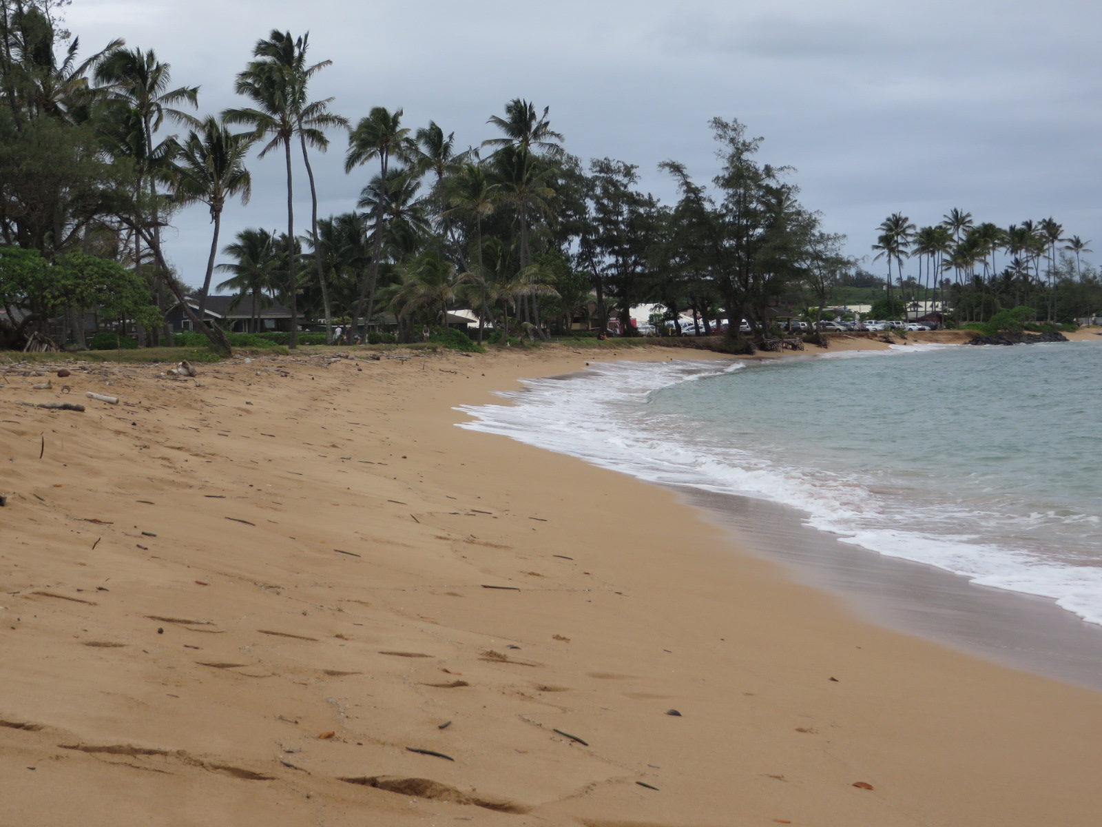 20151005022223.JPG image