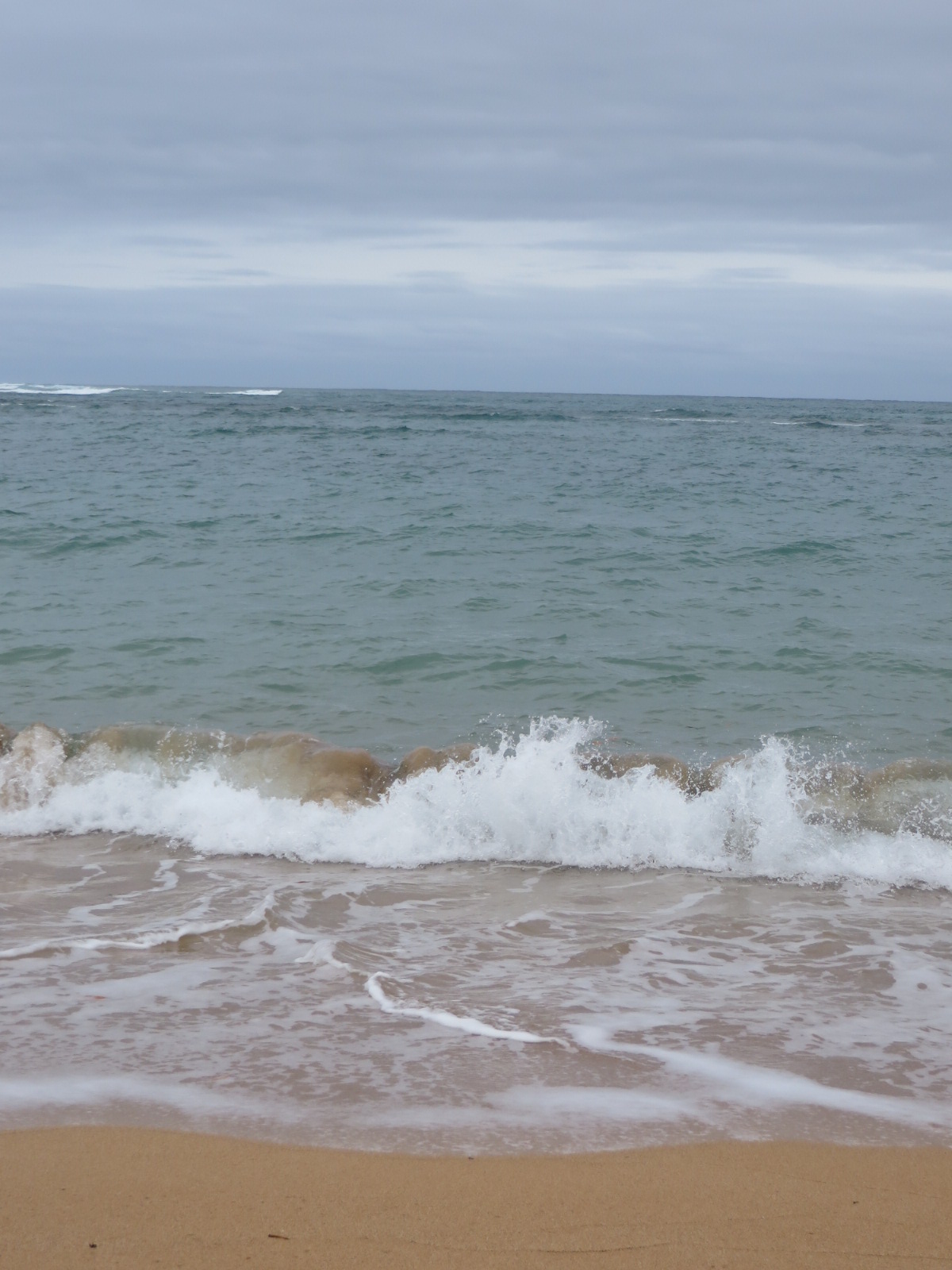 20151005022246.JPG image