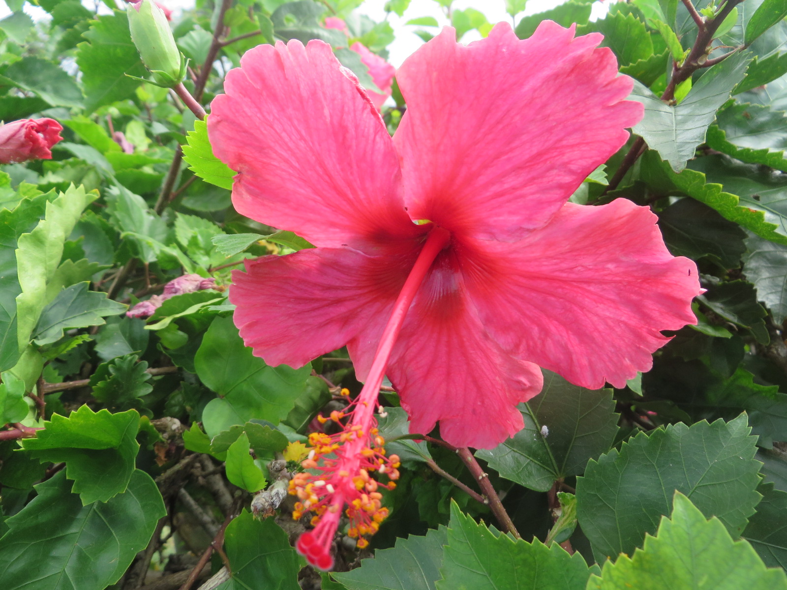 20151005212700.JPG image