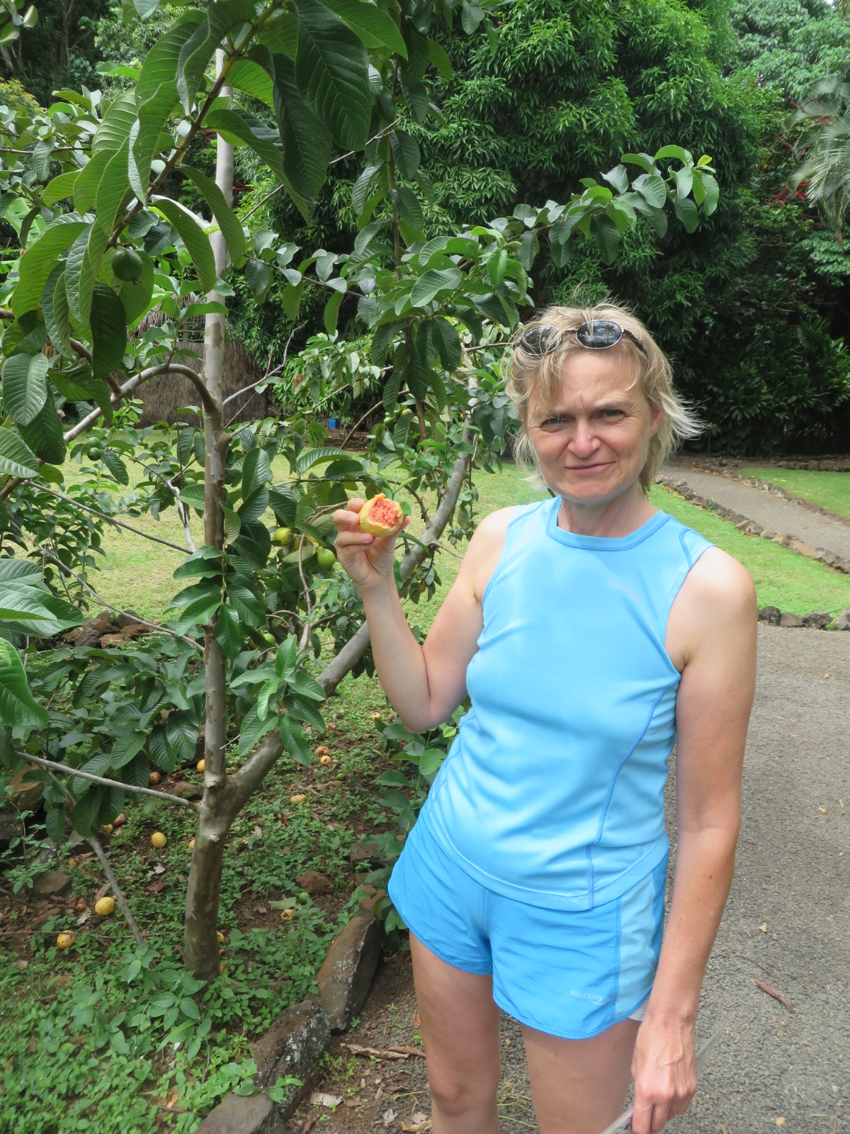 20151005225301.JPG image