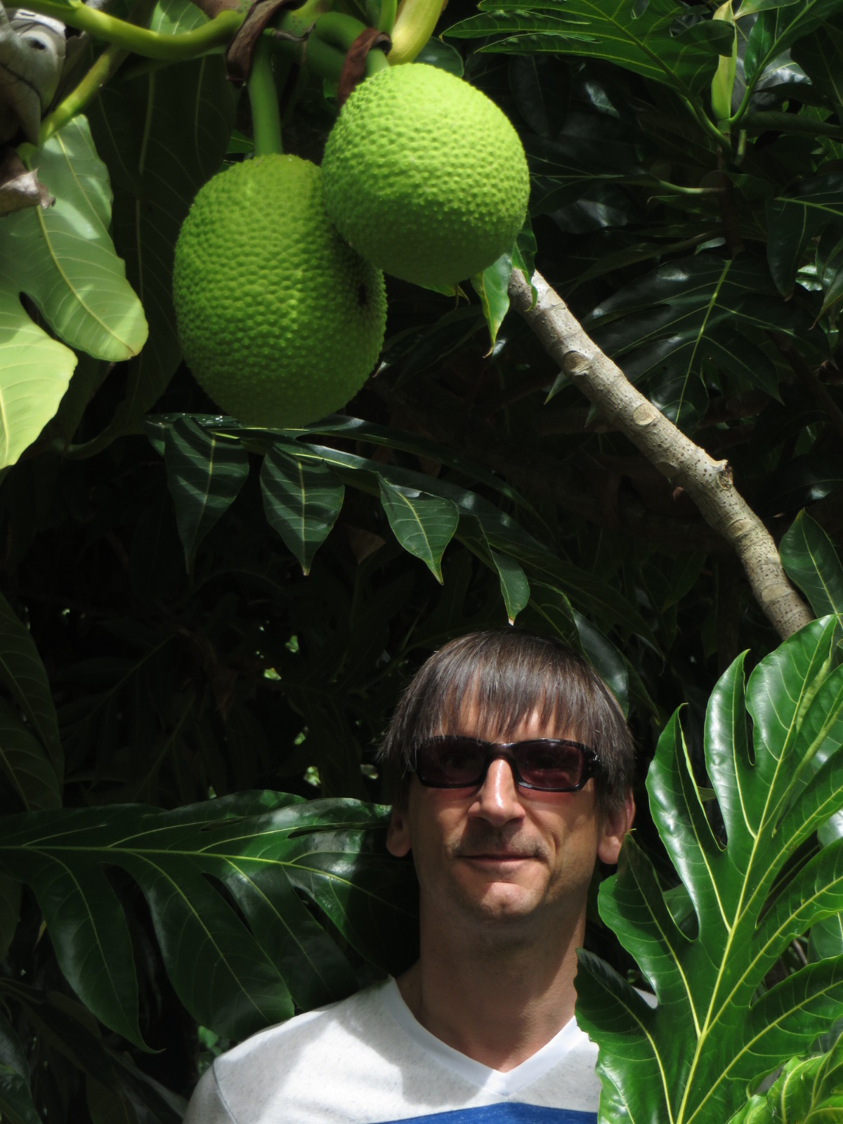 20151005233700.JPG image