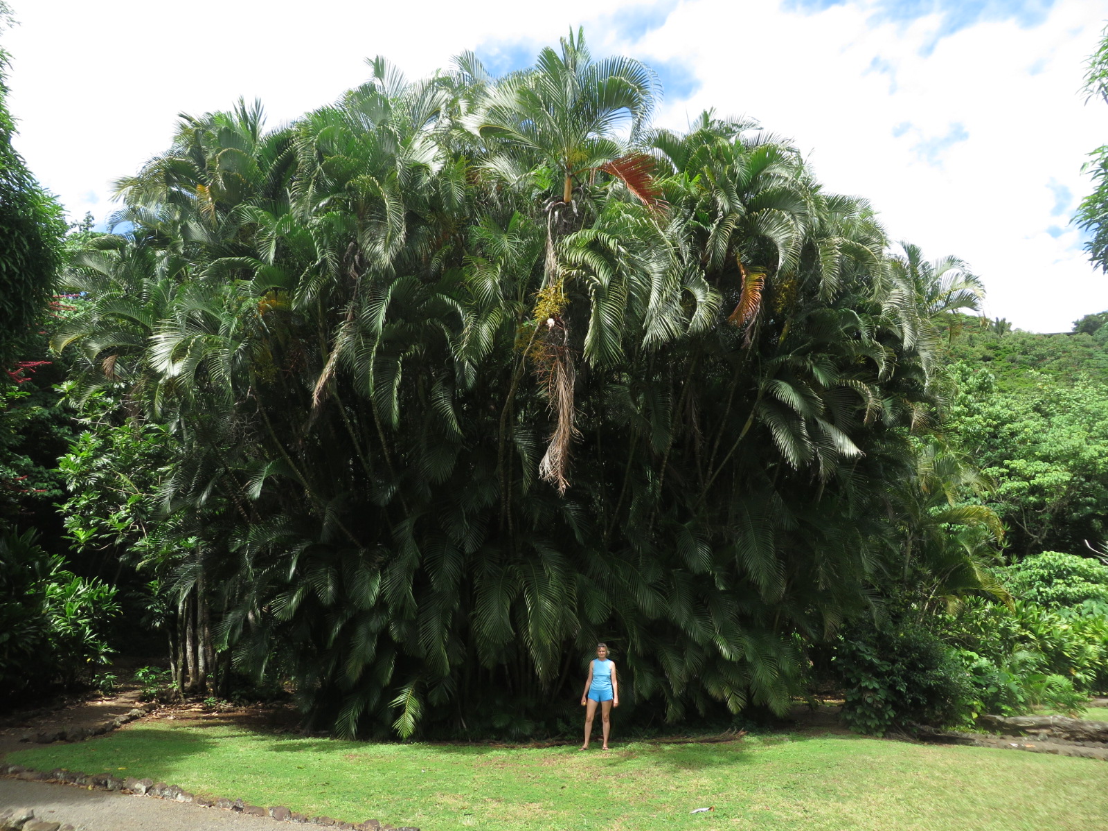 20151005233850.JPG image