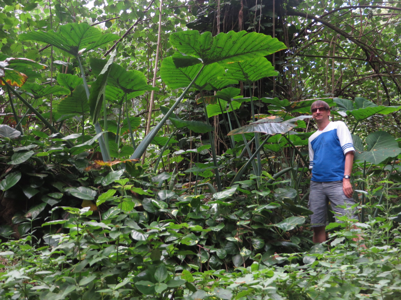 20151006001127.JPG image