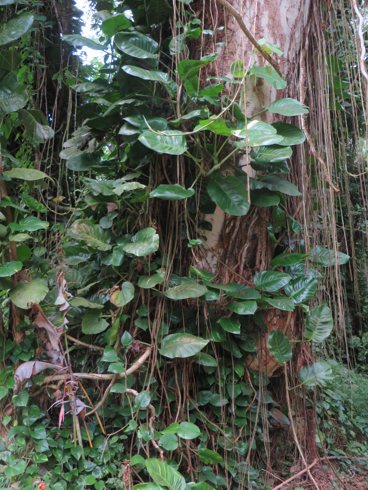 20151006001409.JPG image