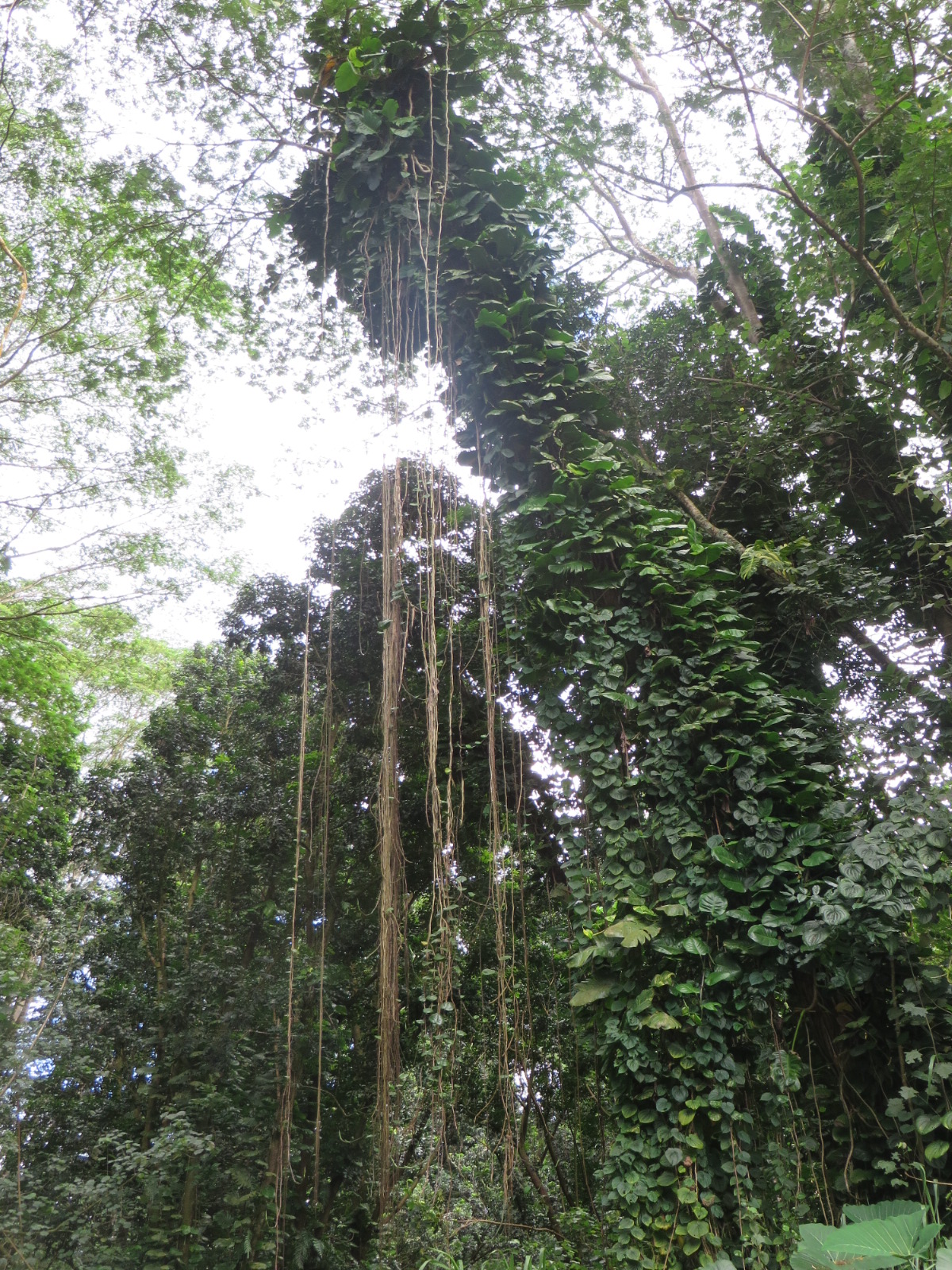 20151006001418.JPG image