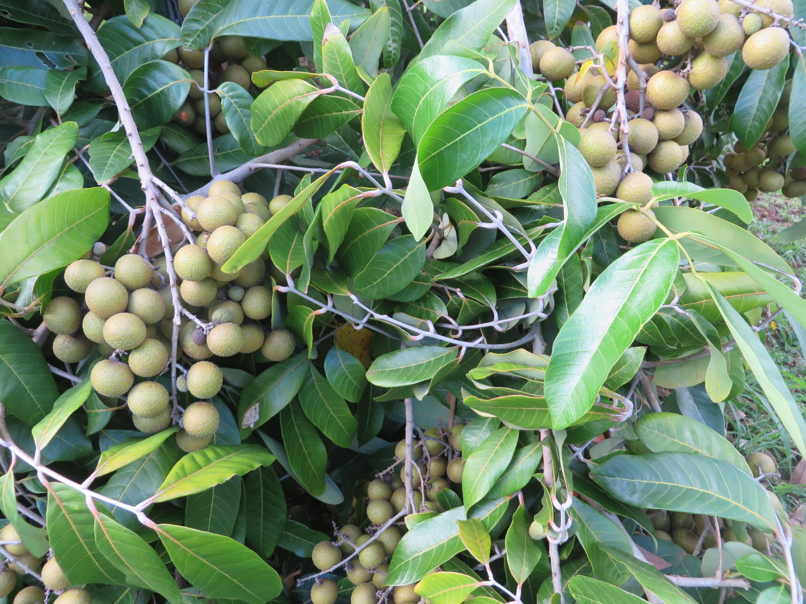 20151006025928.JPG image