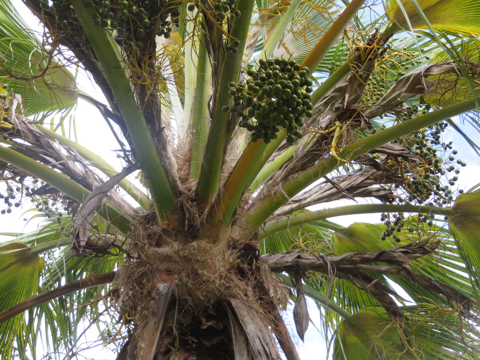 20151006030416.JPG image