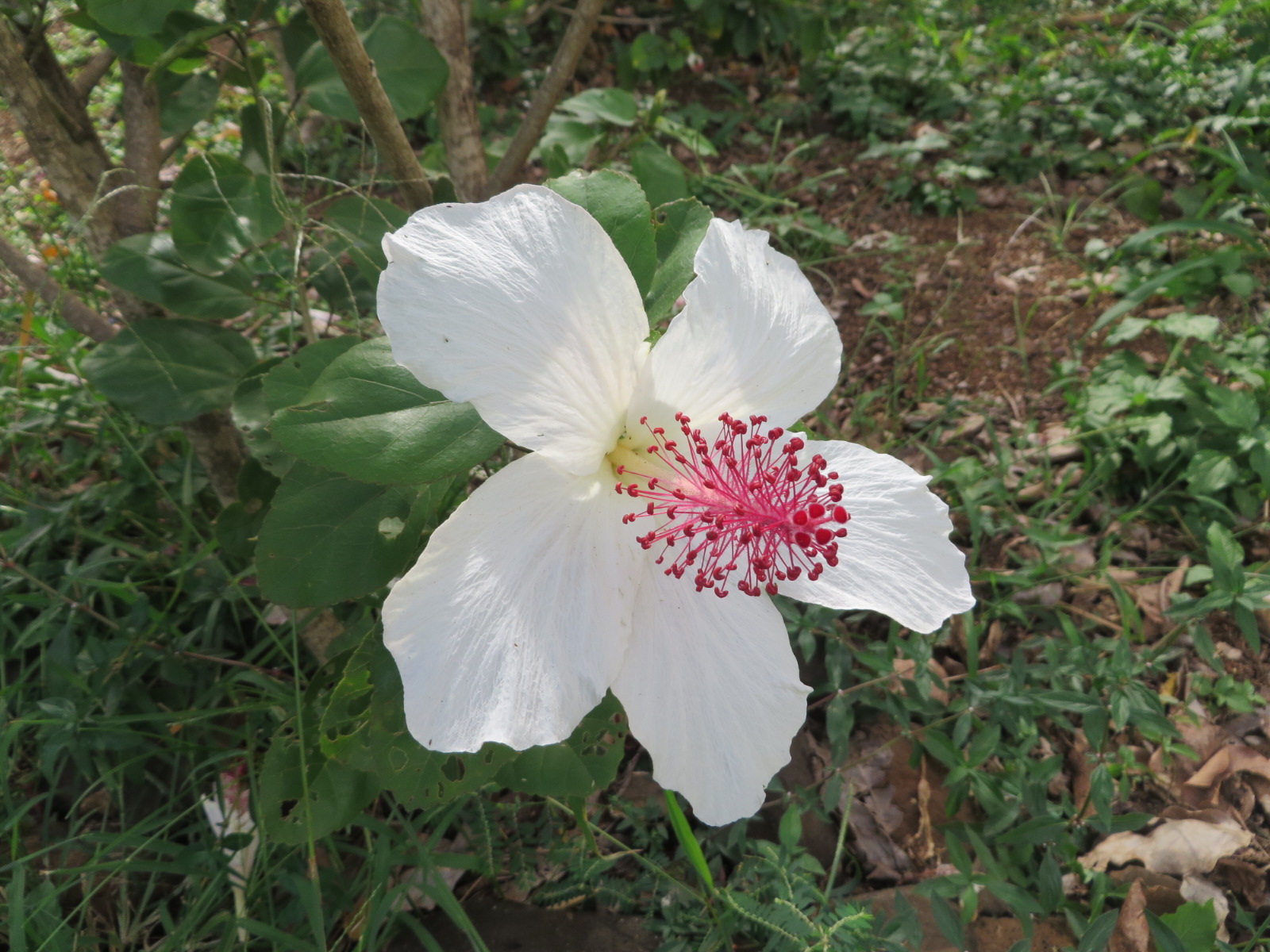 20151006030544.JPG image