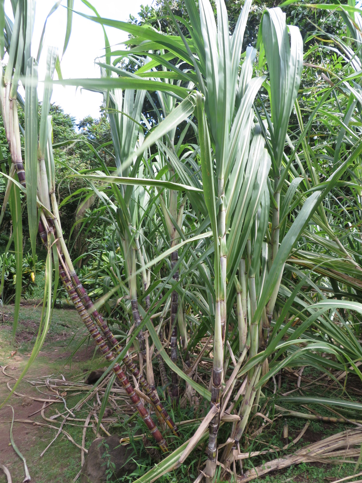 20151006032410.JPG image