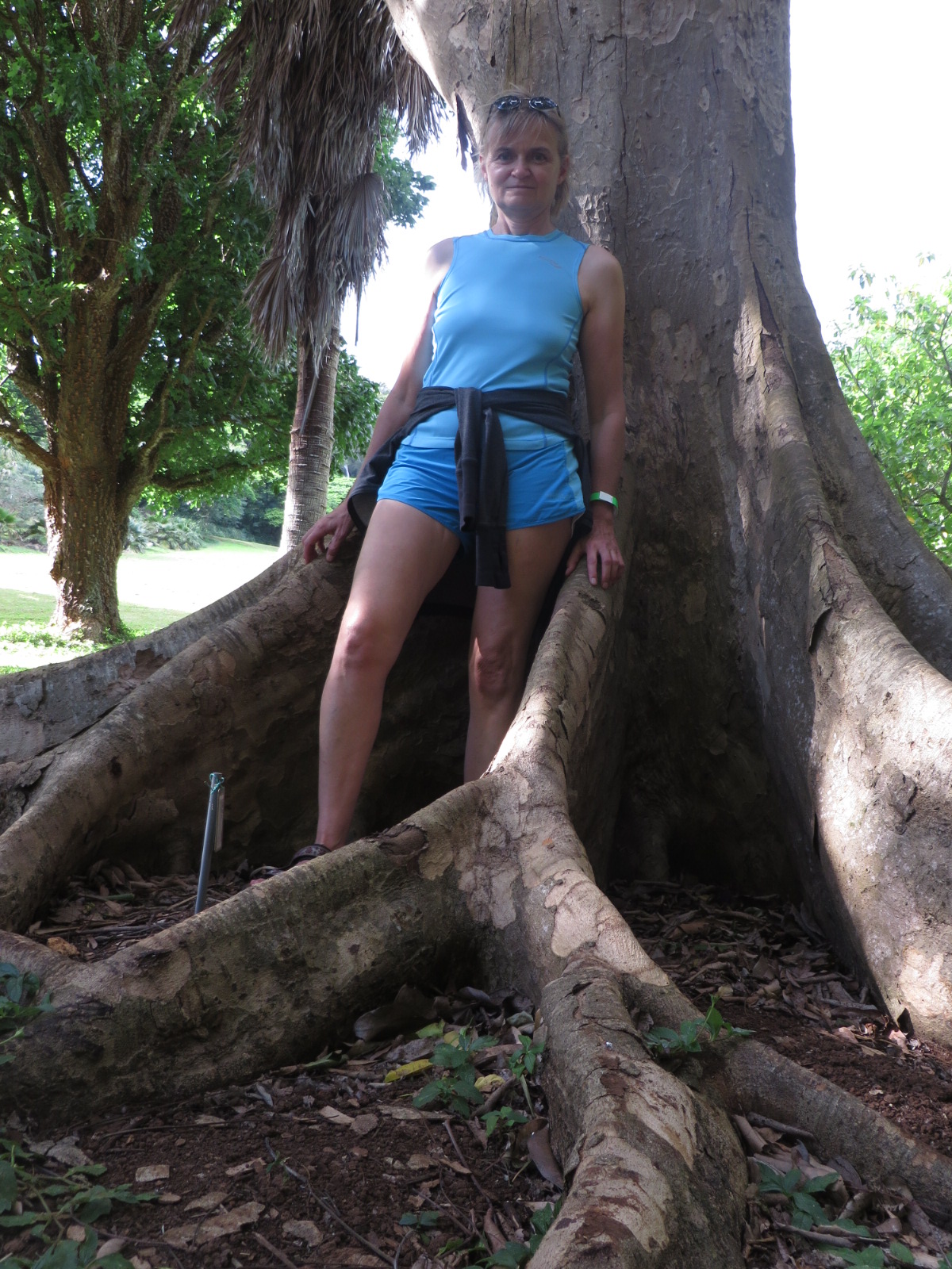 20151006033408.JPG image