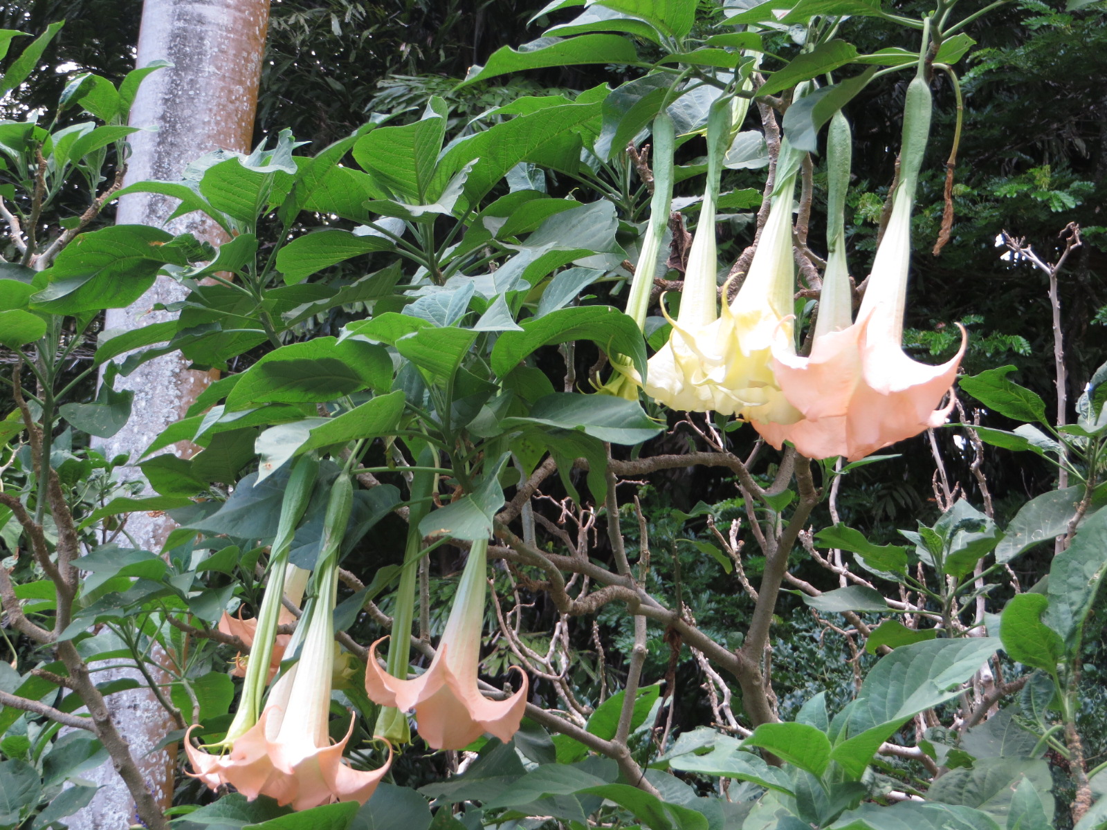 20151006033612.JPG image