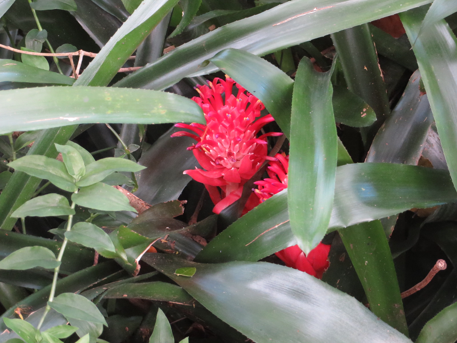 20151006034120.JPG image