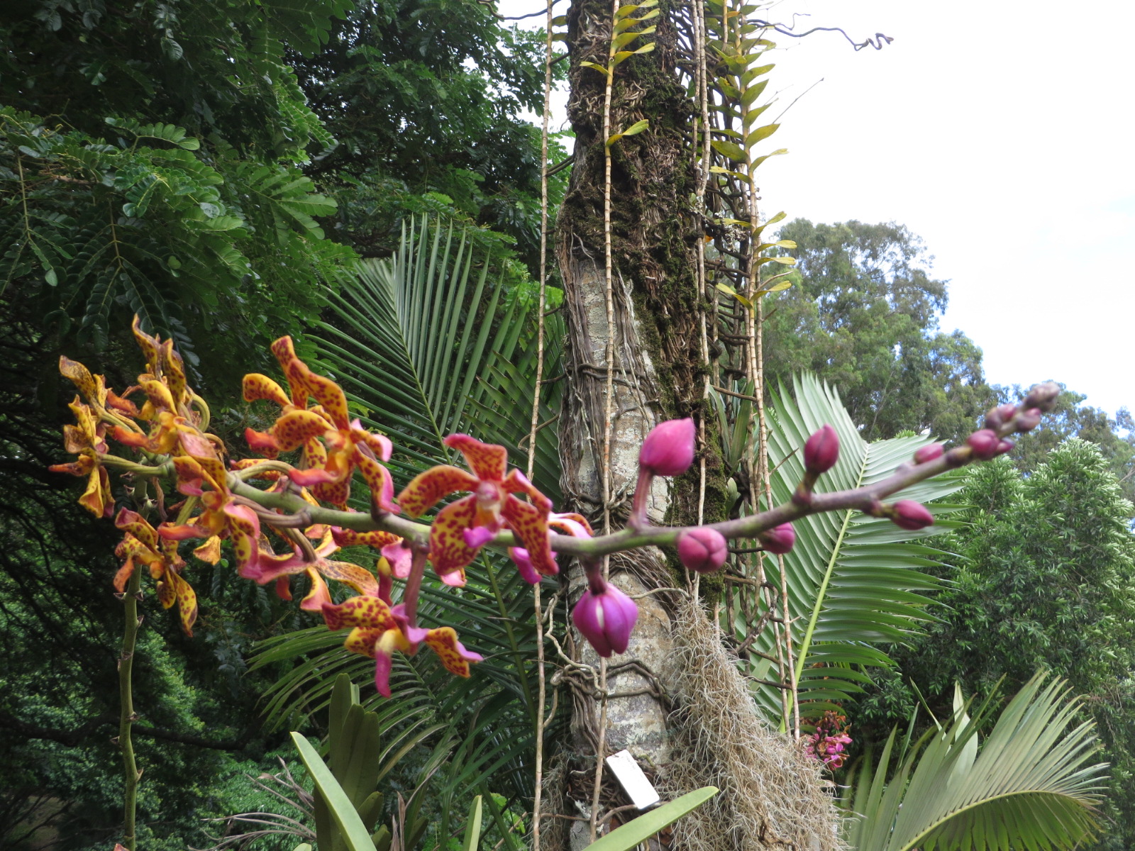 20151006034601.JPG image