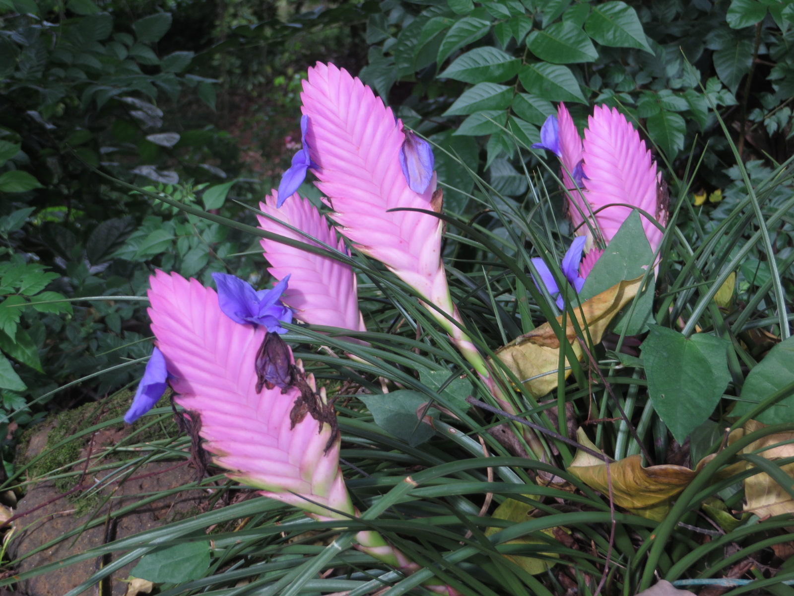 20151006035246.JPG image