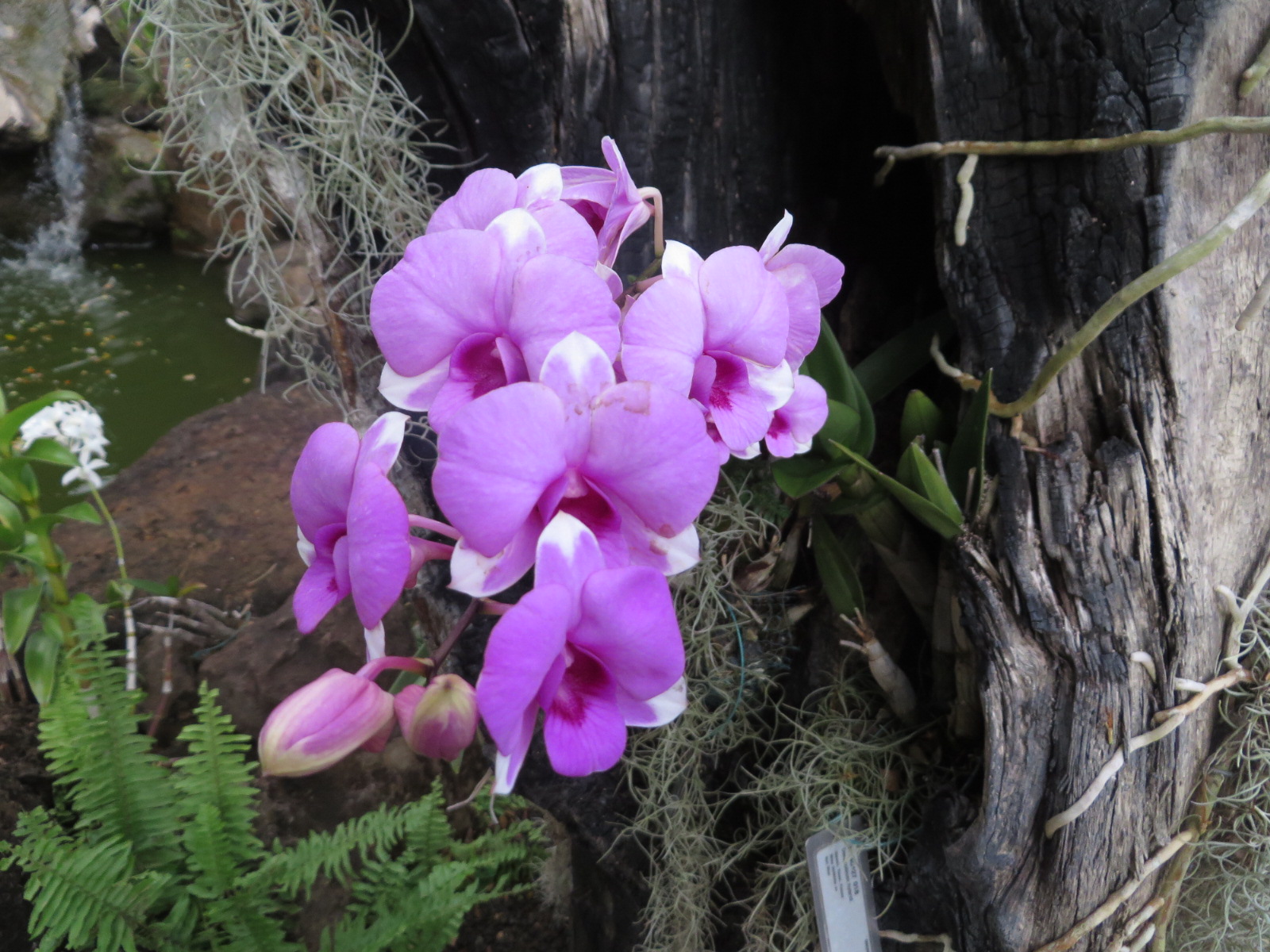 20151006035501.JPG image