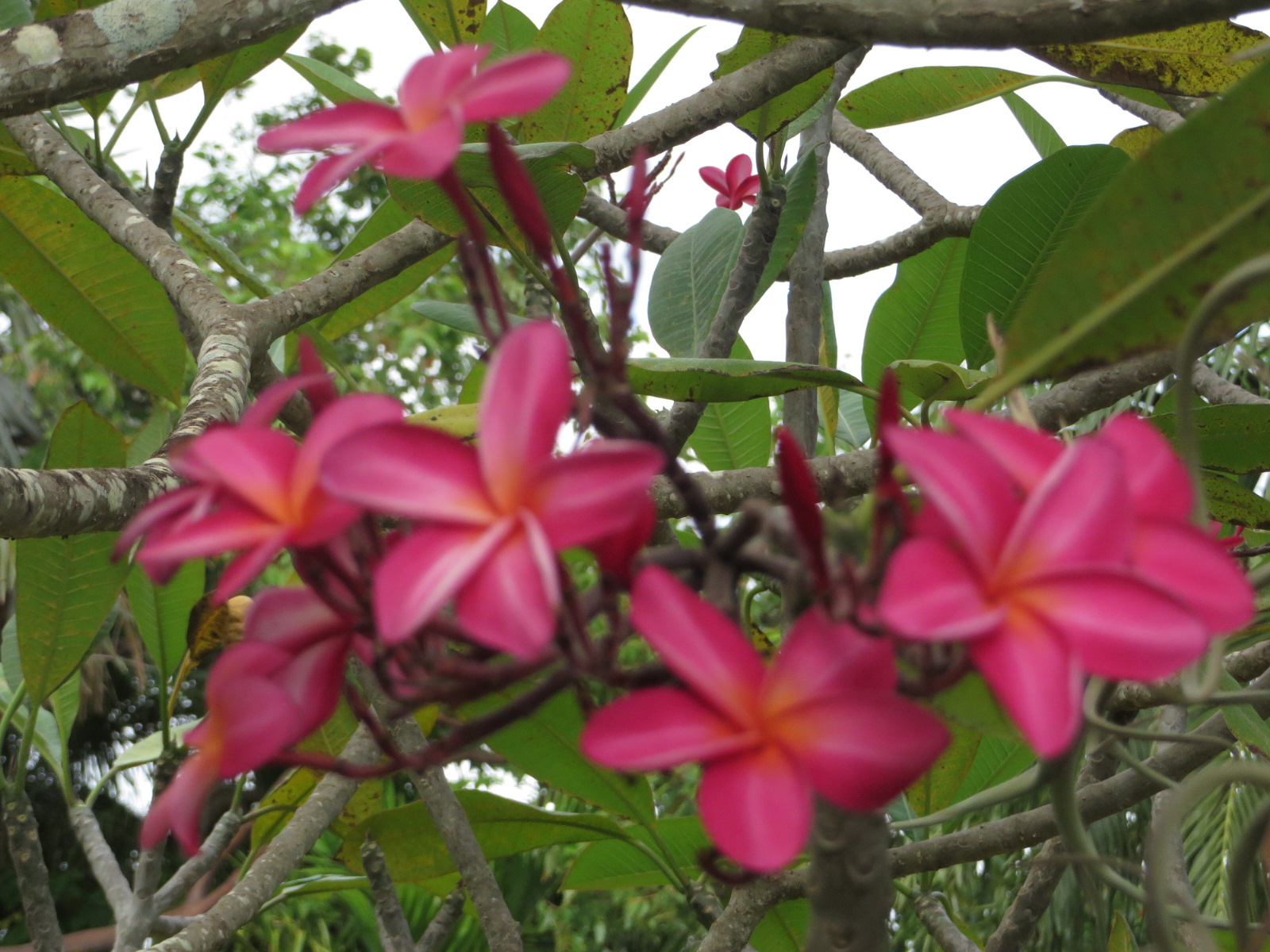 20151006041623.JPG image