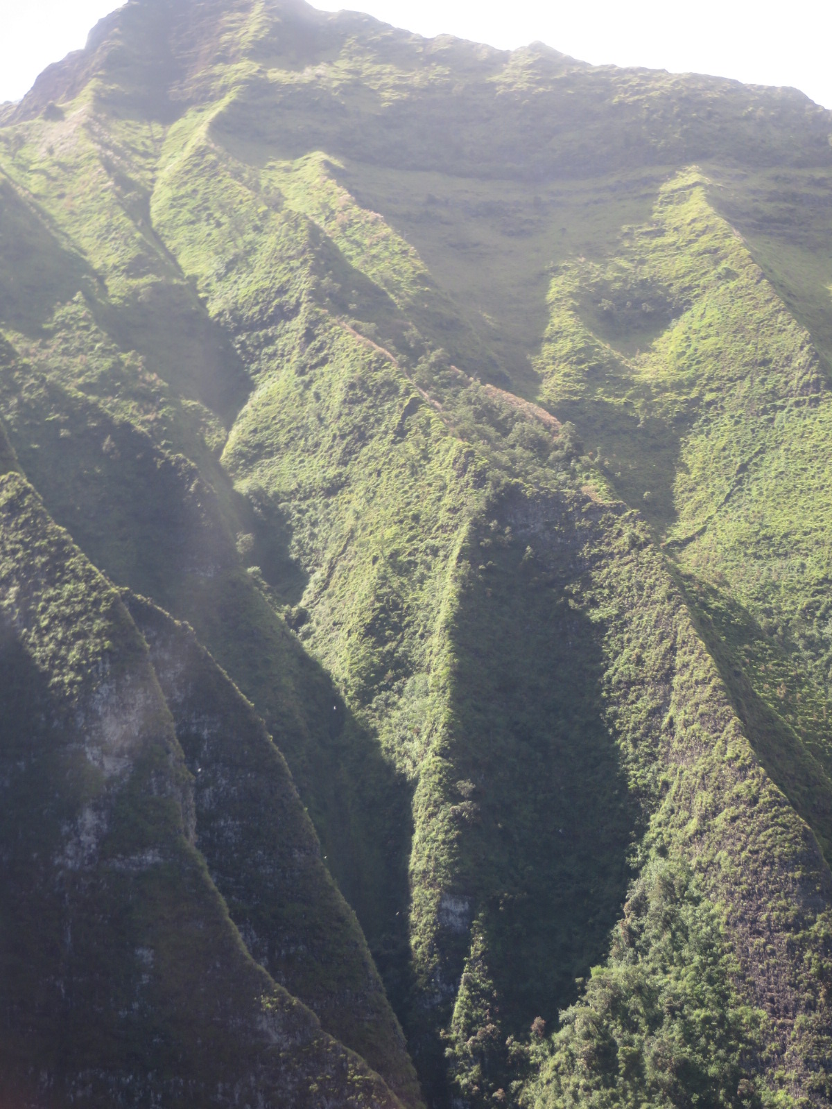 20151006224327.JPG image