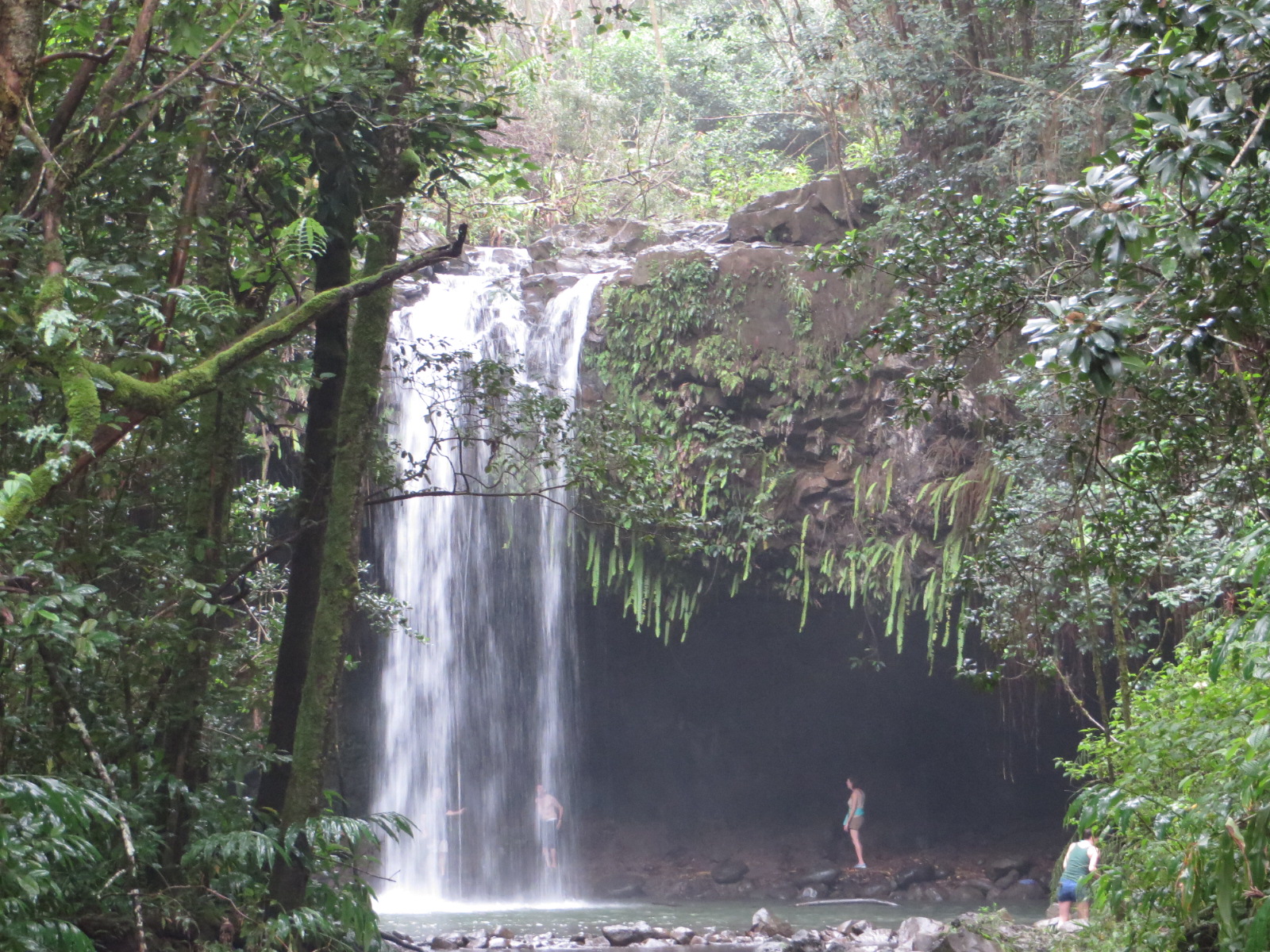 20151010212916.JPG image