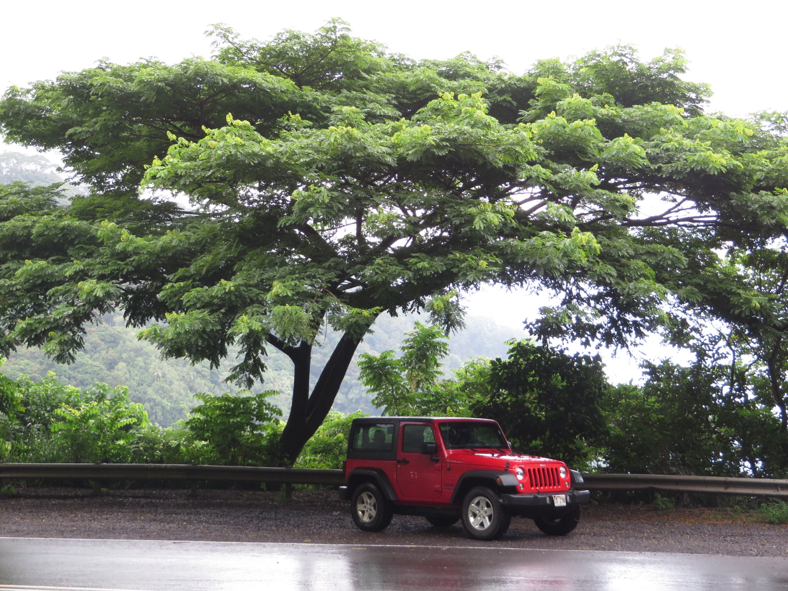 20151010225118.JPG image