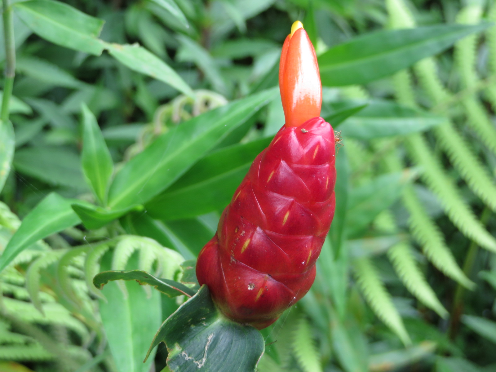 20151010225741.JPG image