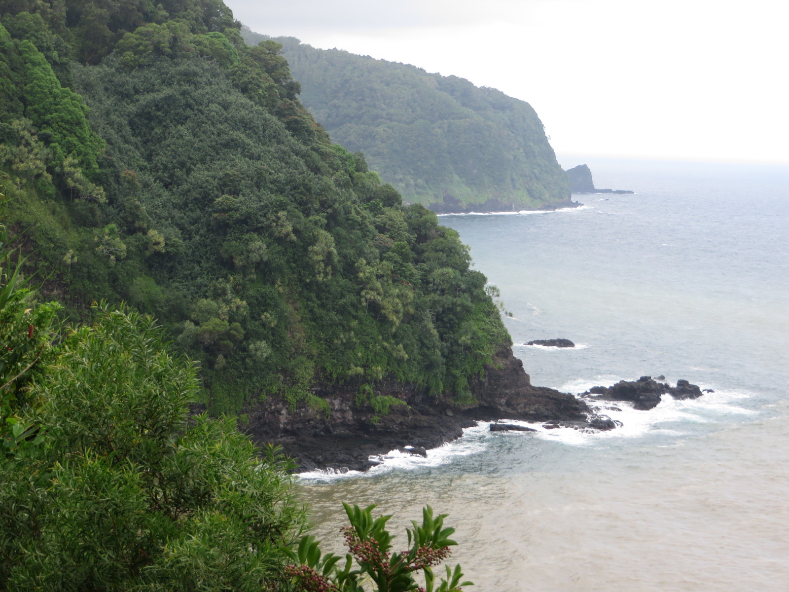 20151010225816.JPG image