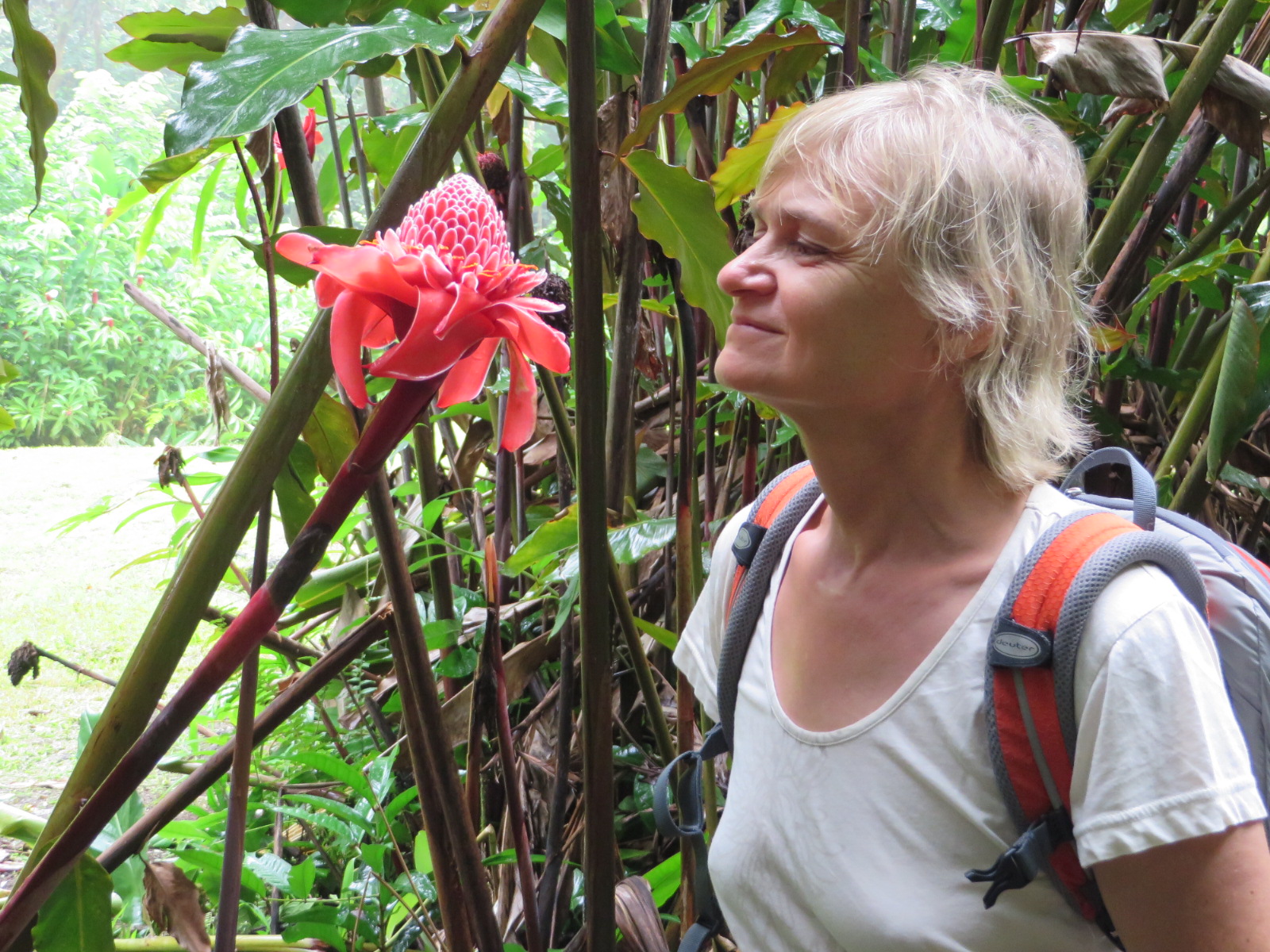 20151010232120.JPG image