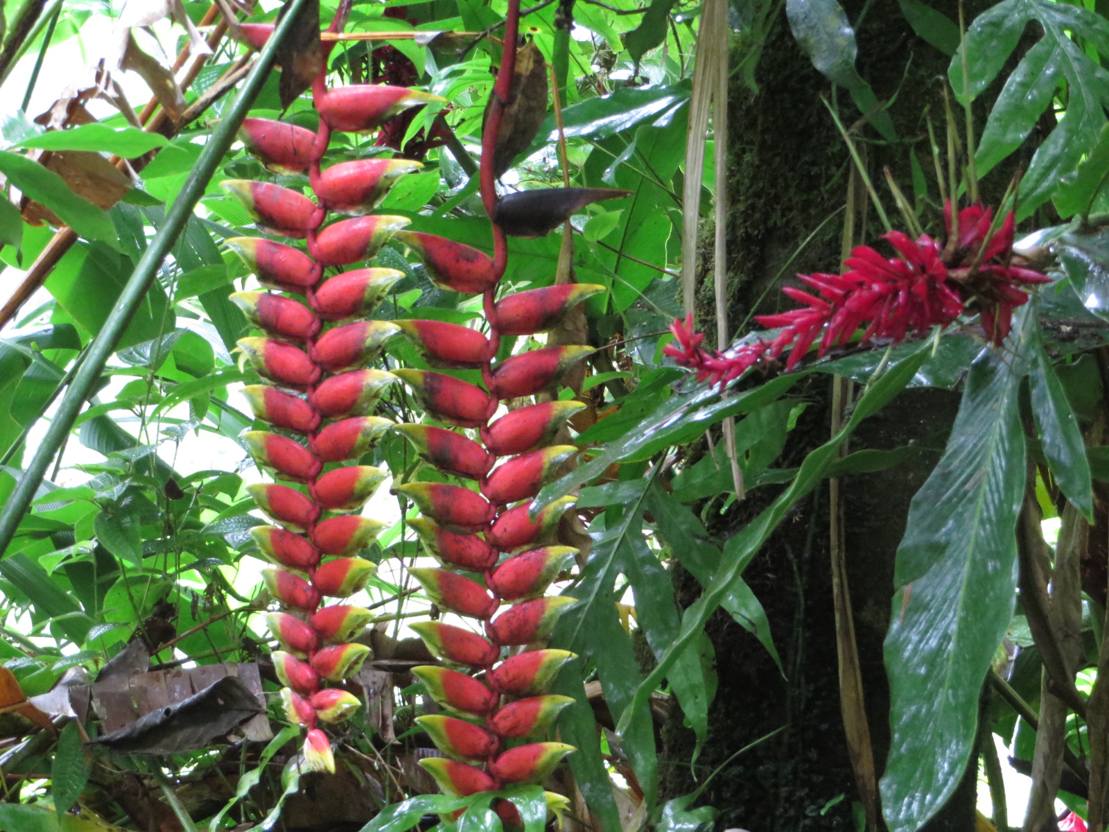 20151010232311.JPG image