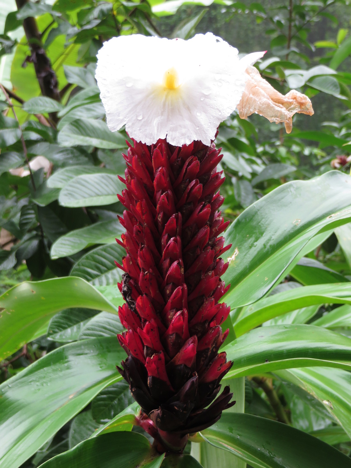 20151010232424.JPG image