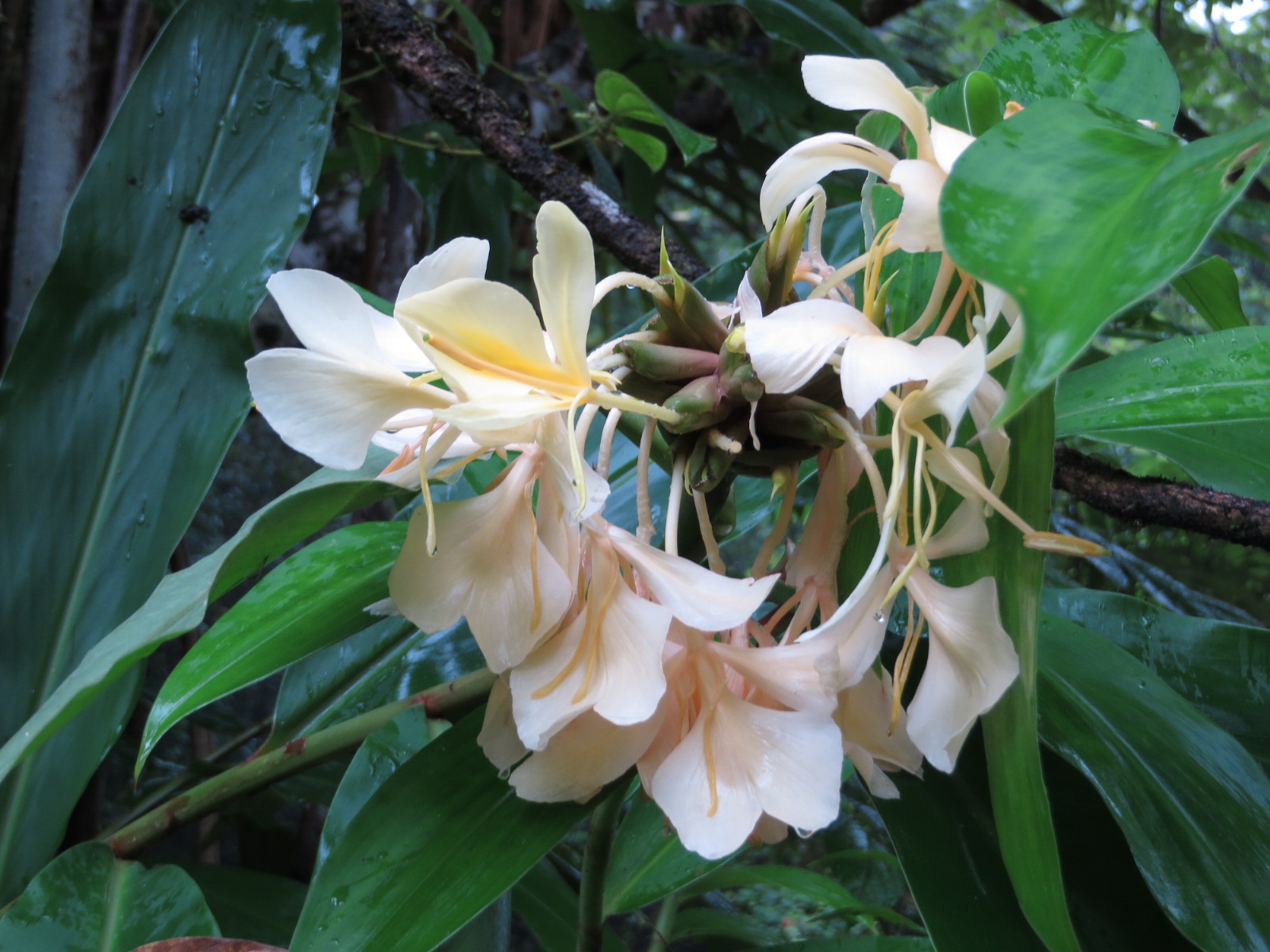 20151010232856.JPG image