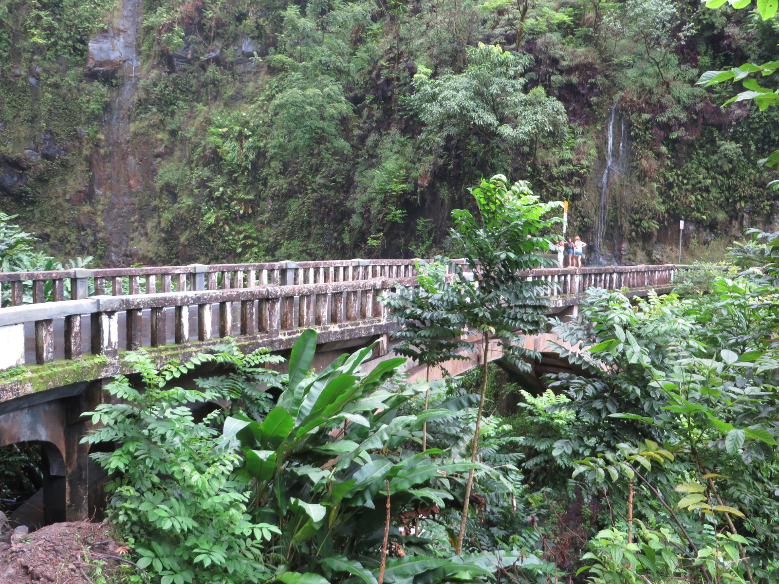 20151011004759.JPG image